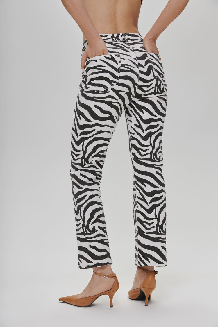 Jeans (Rare herbivore), zebra