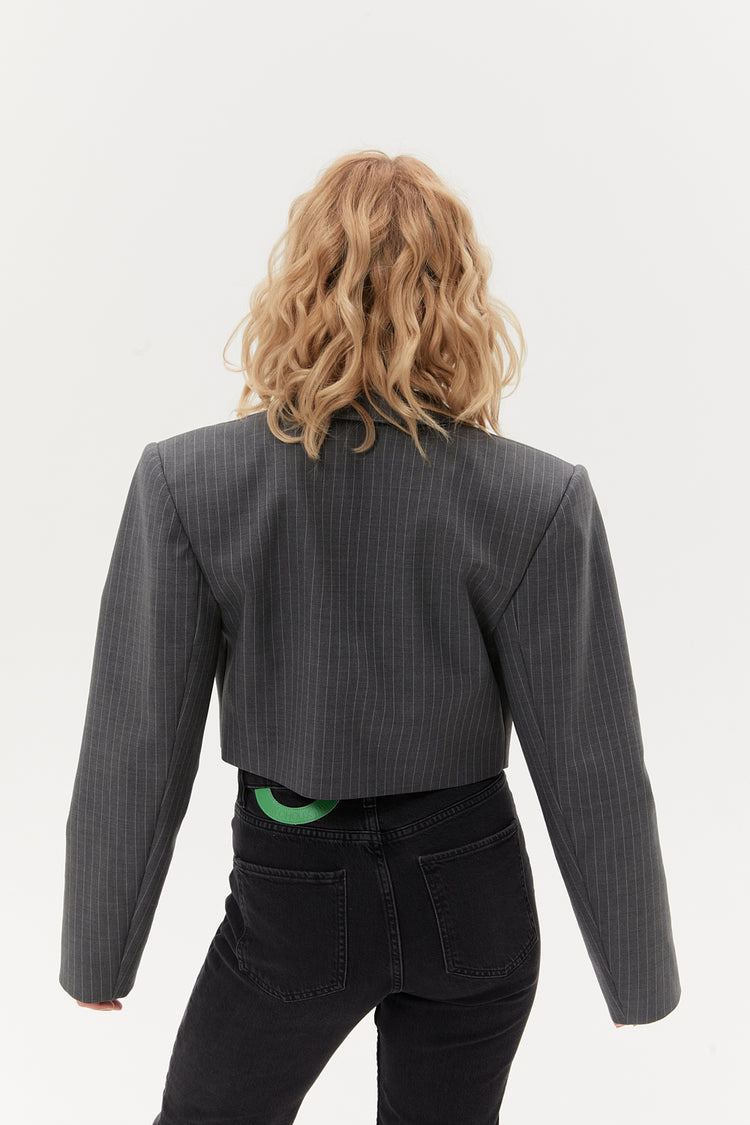 Cropped jacket ((Money Magnet suit)), gray
